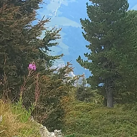 Apart Tiefenbach * Aschau Im Zillertal