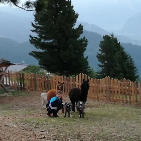 蒂芬巴赫公寓 Aschau Im Zillertal