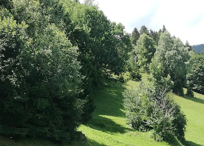 شقة Tiefenbach Aschau Im Zillertal