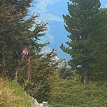 Tiefenbach * Aschau Im Zillertal