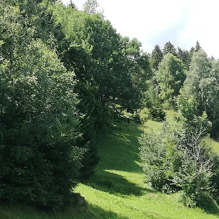 Daire Tiefenbach Aschau Im Zillertal